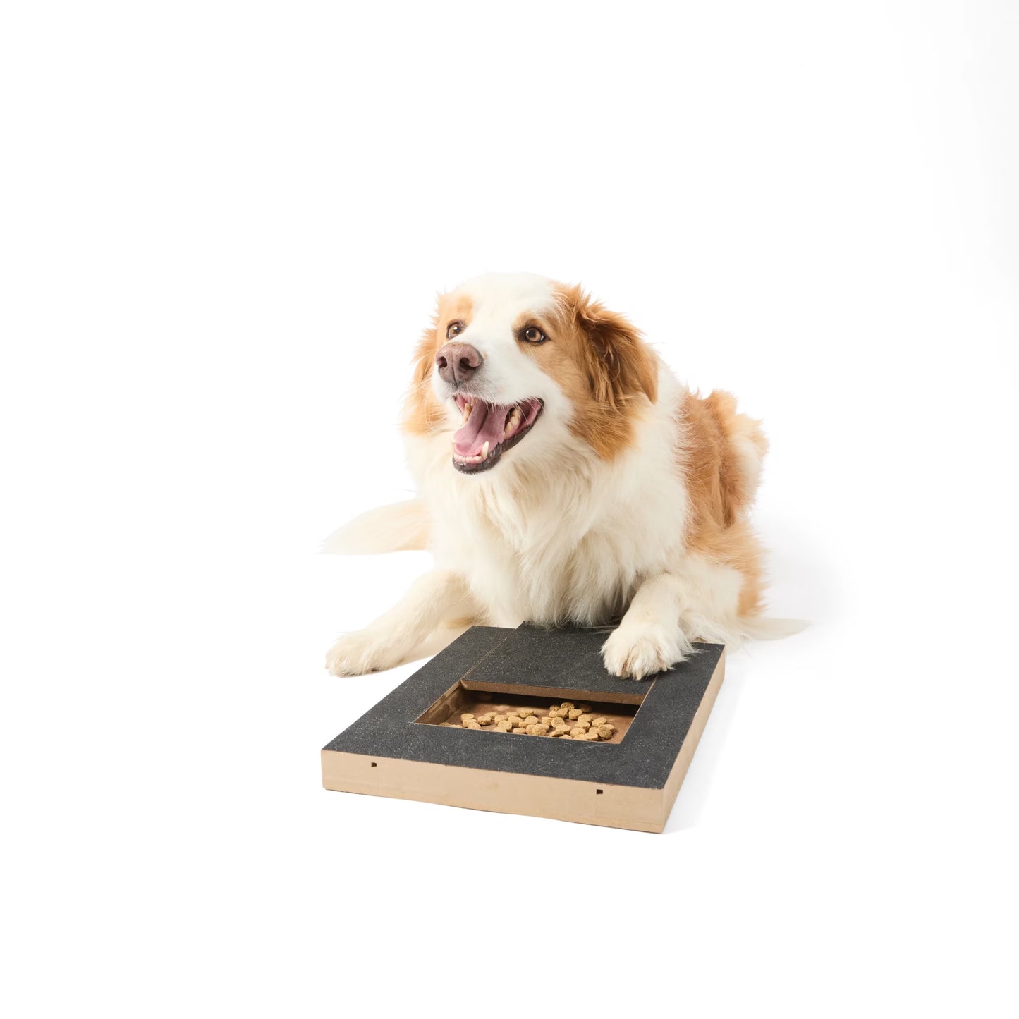 Nail Scratch Treat Dispenser For Dogs