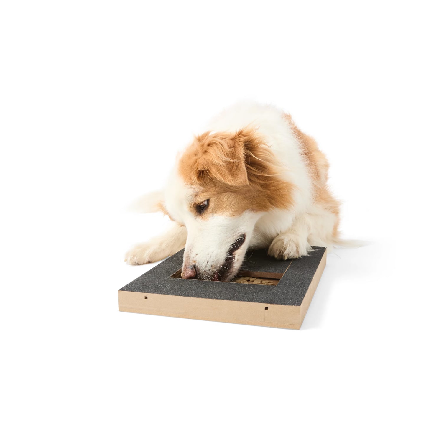 Nail Scratch Treat Dispenser For Dogs